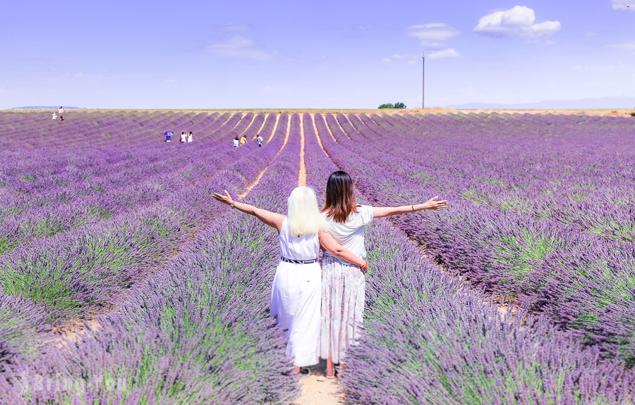 Valensole, Provence: Chasing Lavender Fields, Lac de Sainte-Croix, and Gorges du Verdon