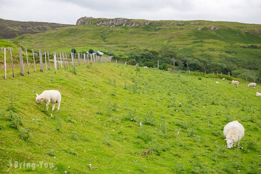 天空島景點 Isle of Skye