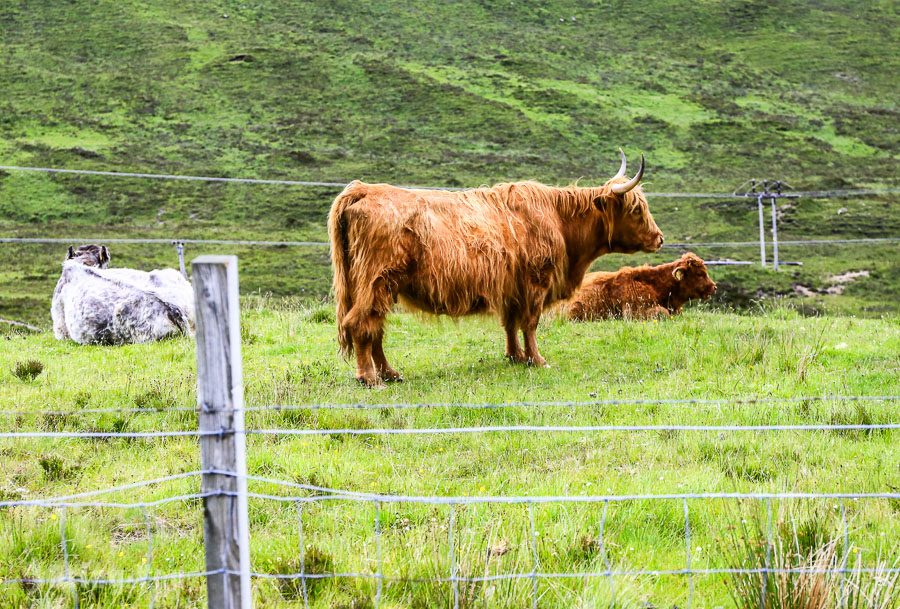 天空島景點 Isle of Skye