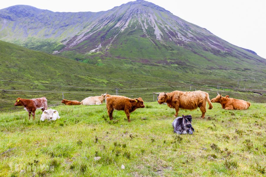 天空岛景点 Isle of Skye