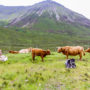 【苏格兰高地景点】Glenfinnan Viaduct通往霍格华兹的火车、Inverlochy Castle