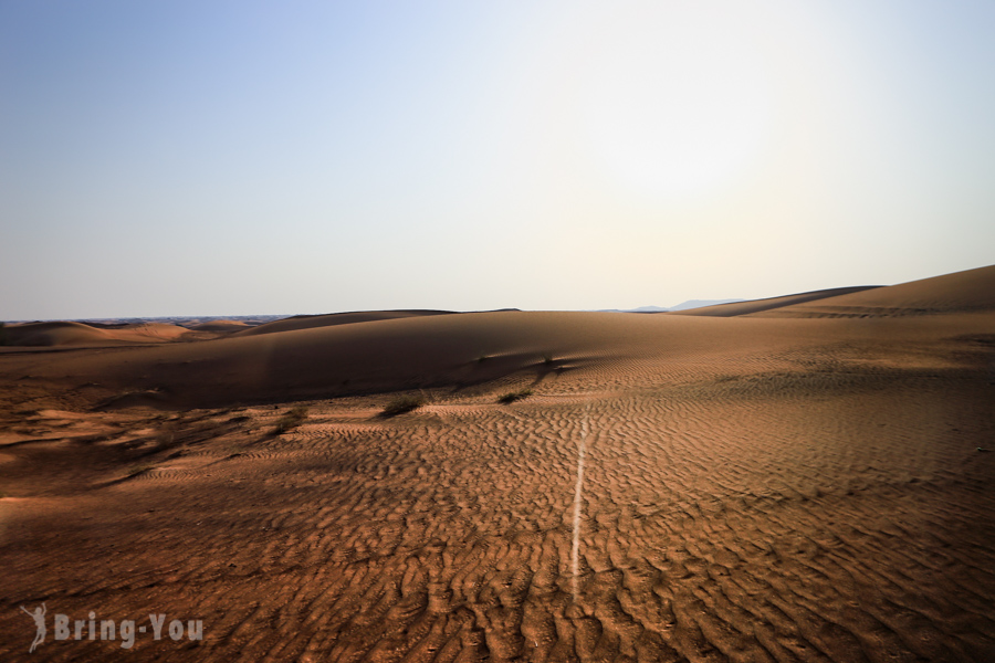 杜拜沙漠飙沙Desert Safari