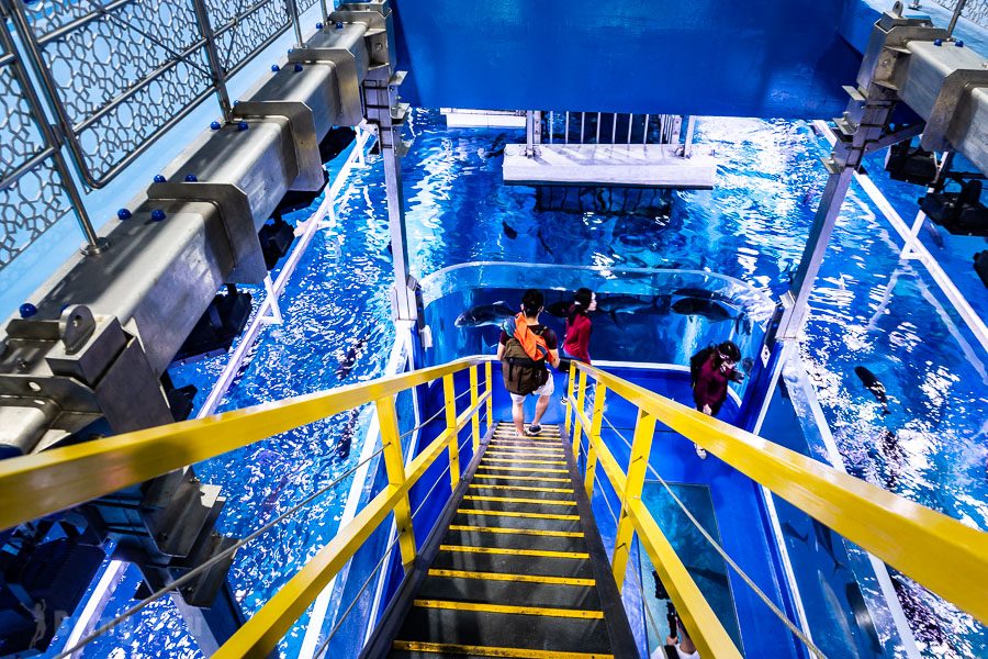 杜拜水族馆与水下动物园