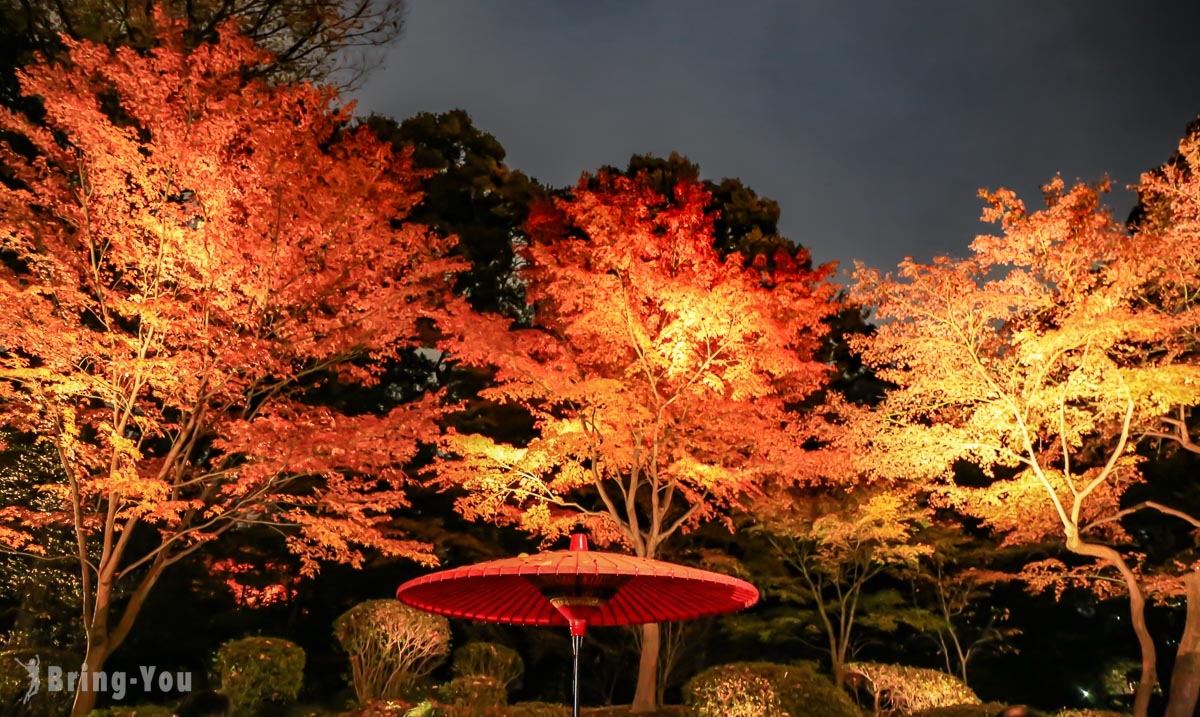 【東京紅葉景點】賞楓名園「六義園」夜楓分享（含開放時間）