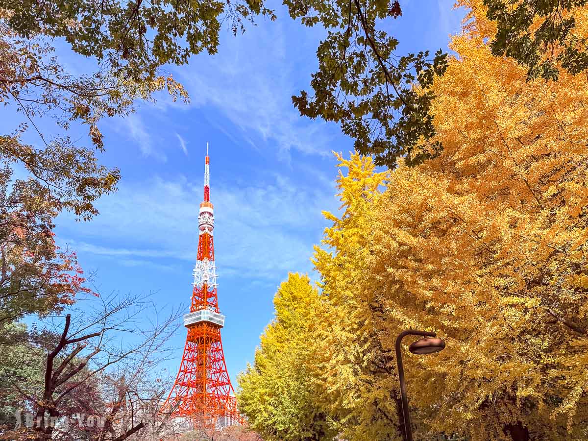 【東京鐵塔拍攝景點攻略】芝公園櫻花銀杏美景與地下樓梯 IG 打卡點
