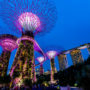 Gardens by The Bay Singapore: A Neat, Insightful Travel Guide to Shed Light on Your Doubts