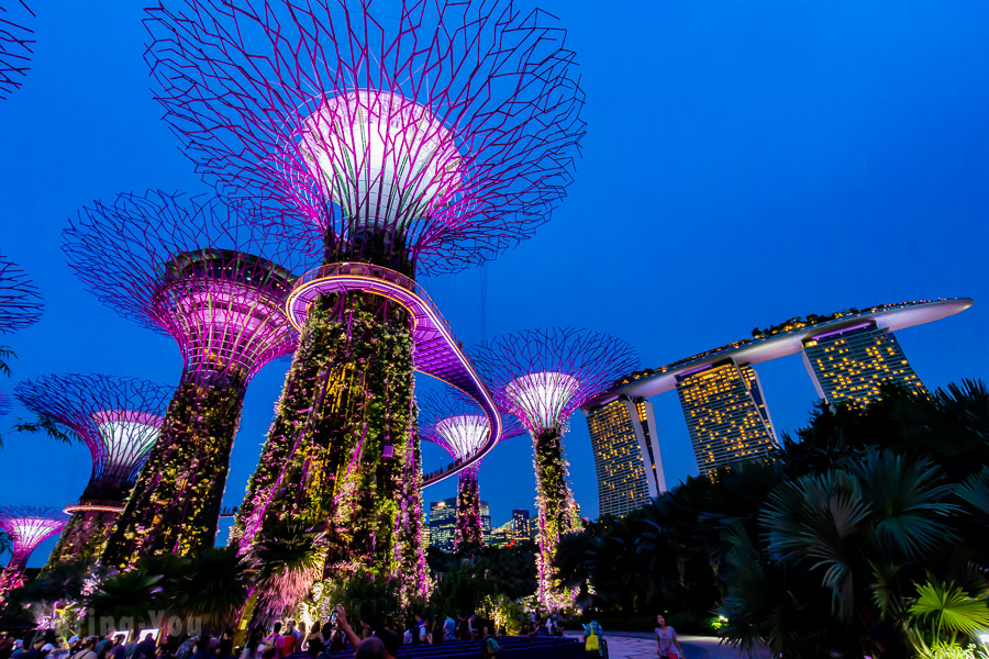 Gardens by The Bay Singapore: A Neat, Insightful Travel Guide to Shed Light on Your Doubts