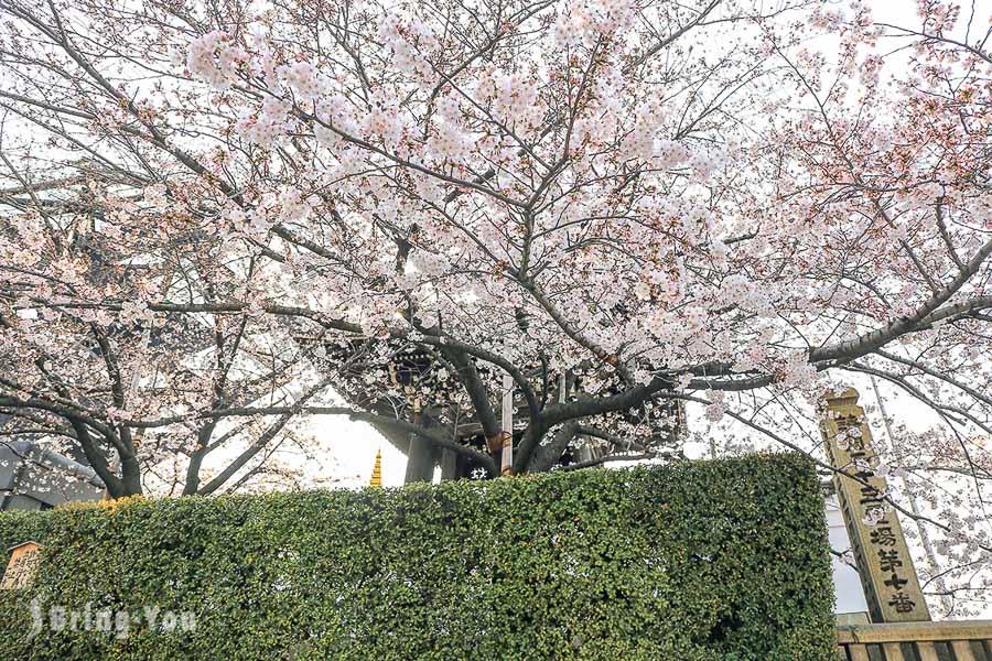 大阪天王寺阿倍野地区