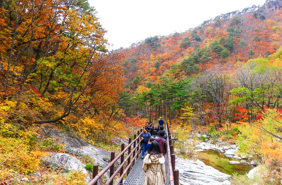 雪岳山景点