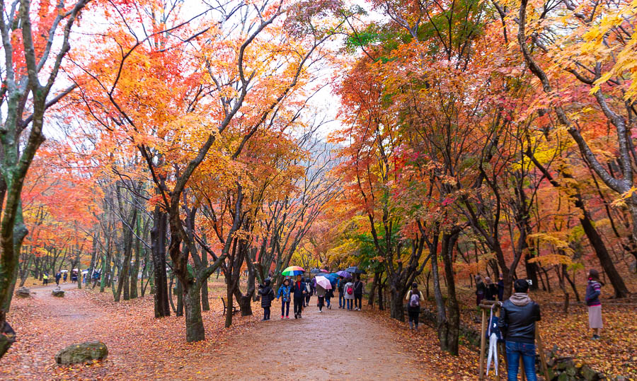 全羅道內藏山