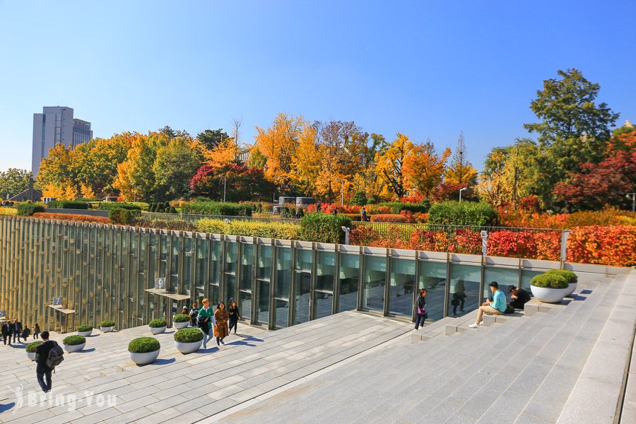 首尔梨花女子大学