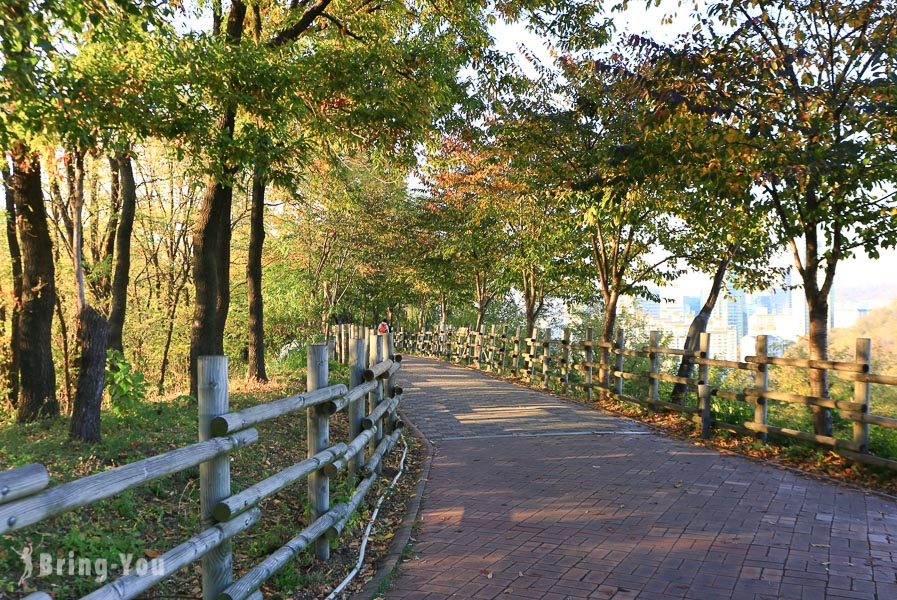 首爾天空公園