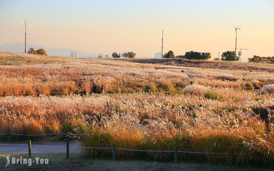 首爾天空公園