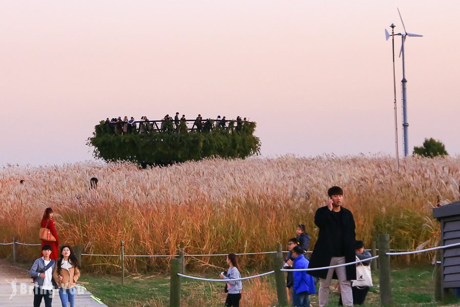 首爾天空公園