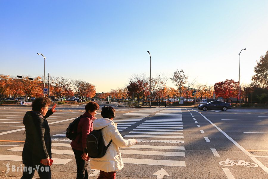 首爾天空公園