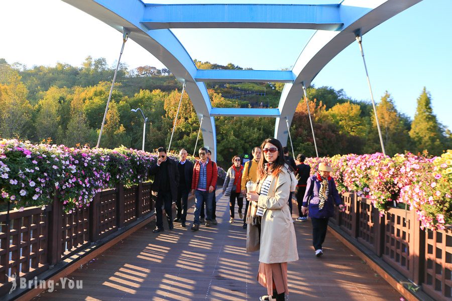 首爾天空公園