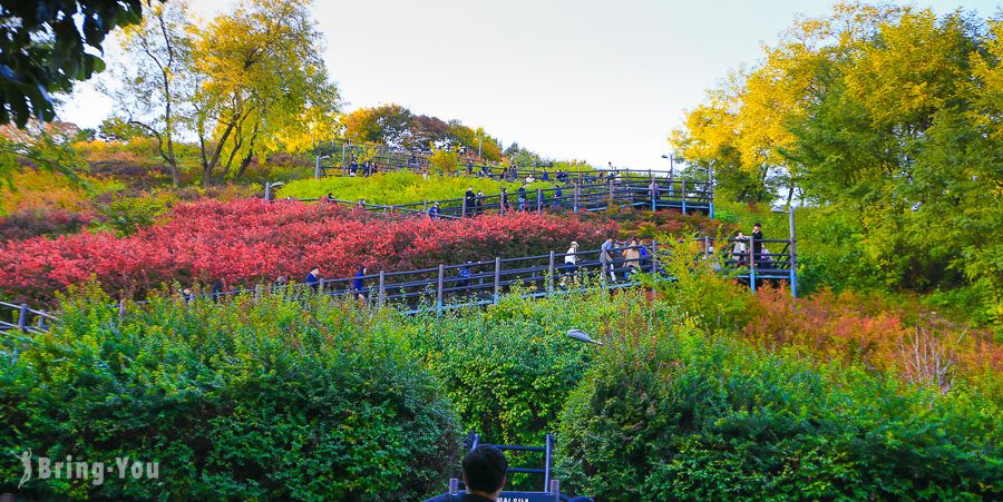 首爾天空公園