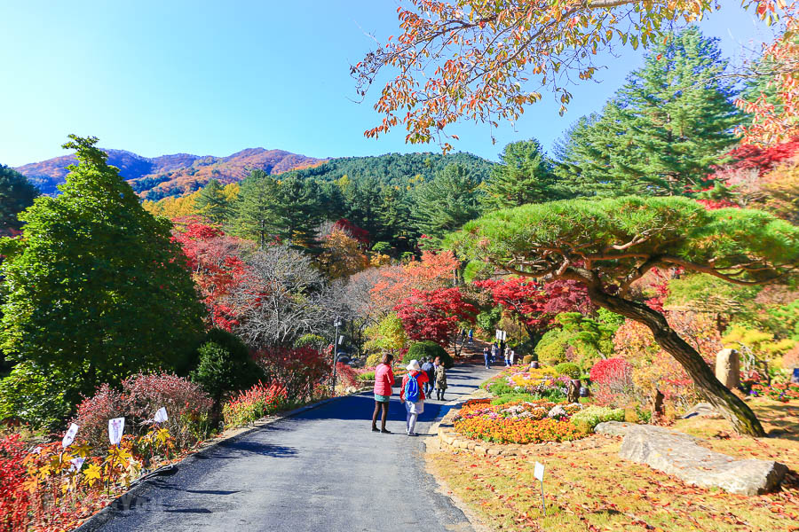 晨靜樹木園