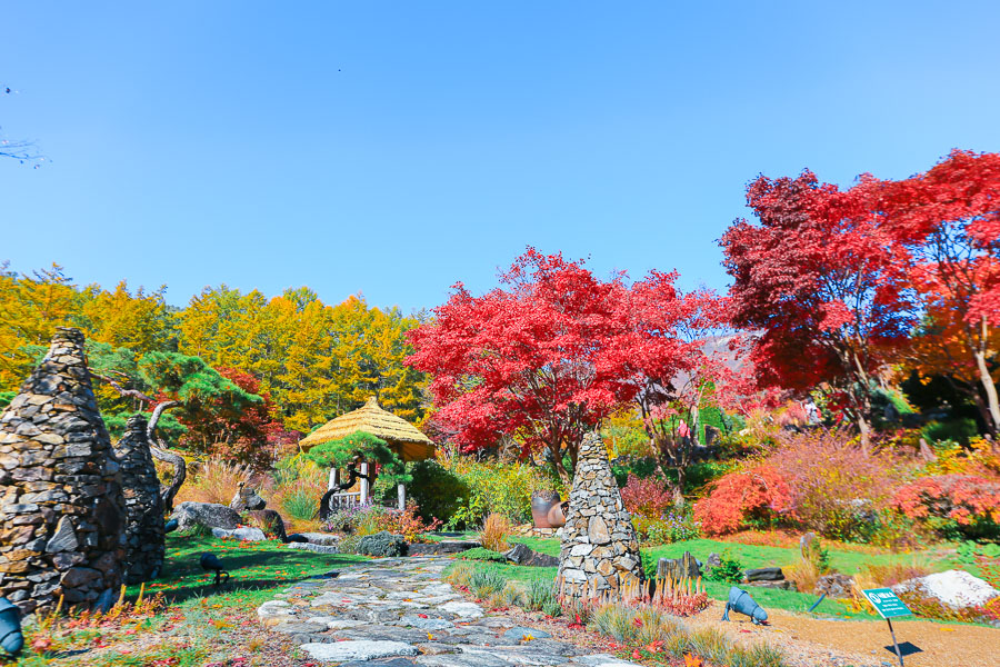 晨靜樹木園