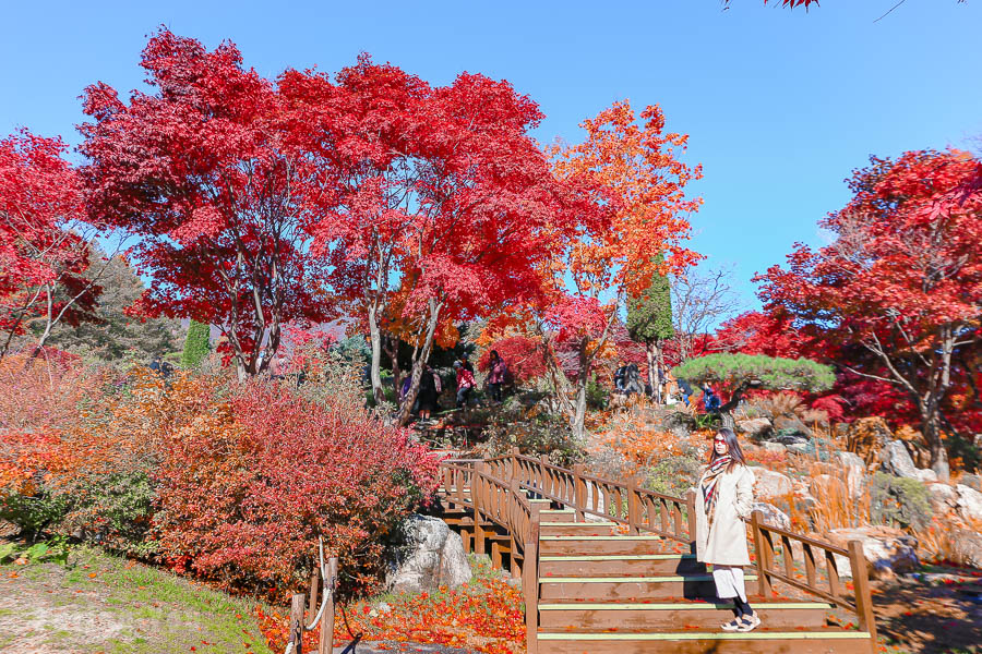 晨靜樹木園