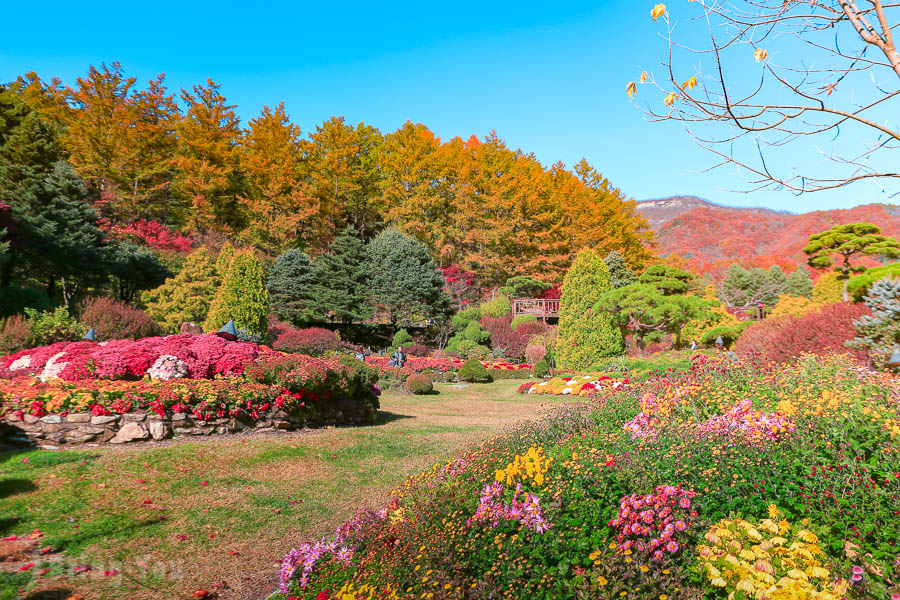 晨靜樹木園