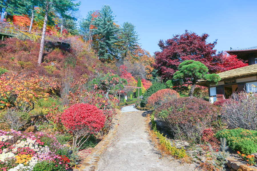 晨靜樹木園