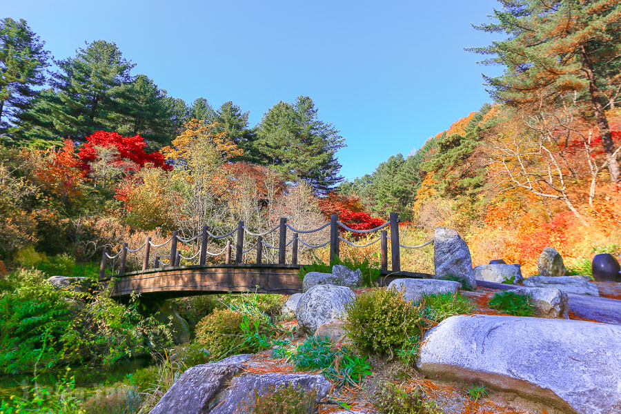 晨靜樹木園