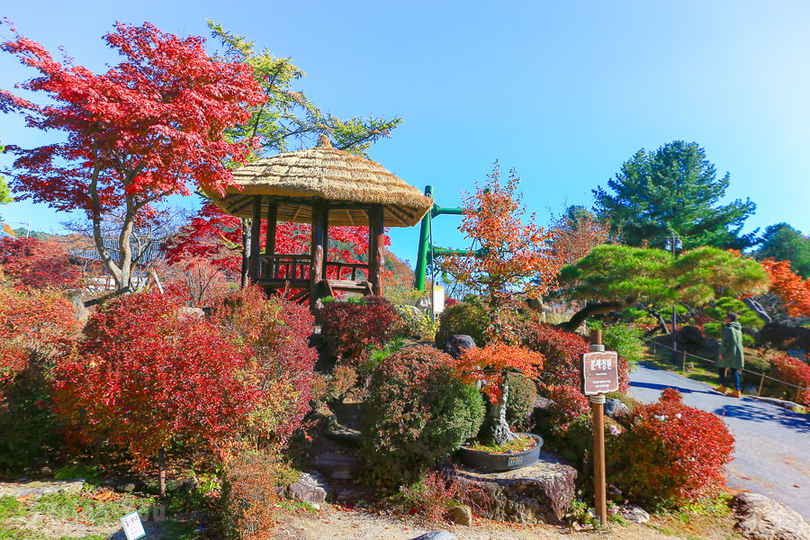 晨靜樹木園