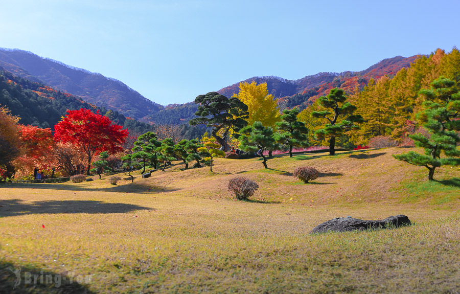 晨靜樹木園