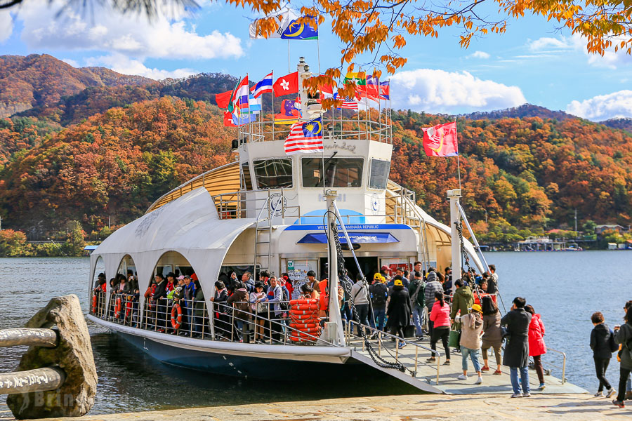 Is It Worth Visiting Nami Island? Here's How to Plan a Day Trip Like a Pro  | BringYou