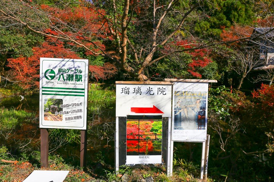 京都瑠璃光院楓紅