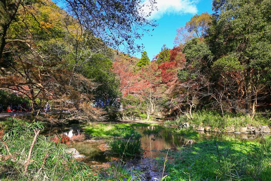 京都瑠璃光院楓紅