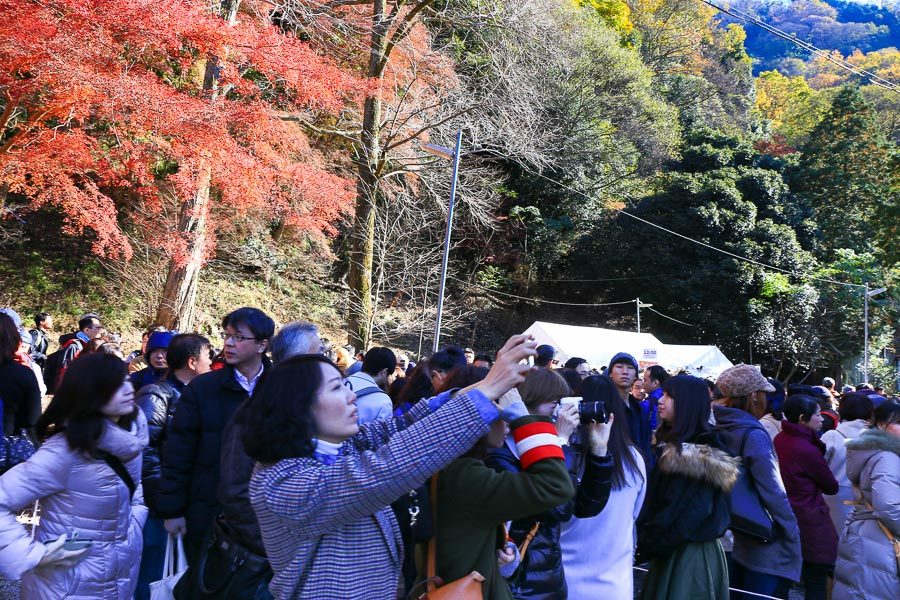 京都瑠璃光院楓紅