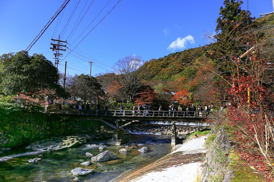 京都瑠璃光院枫红