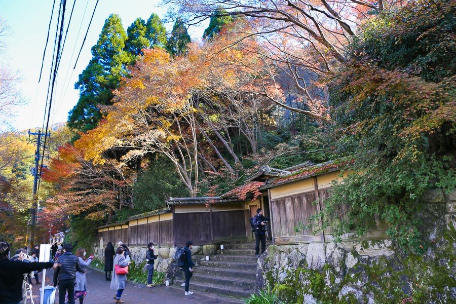 京都瑠璃光院楓紅