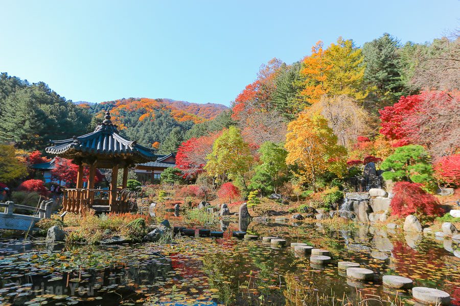 晨靜樹木園