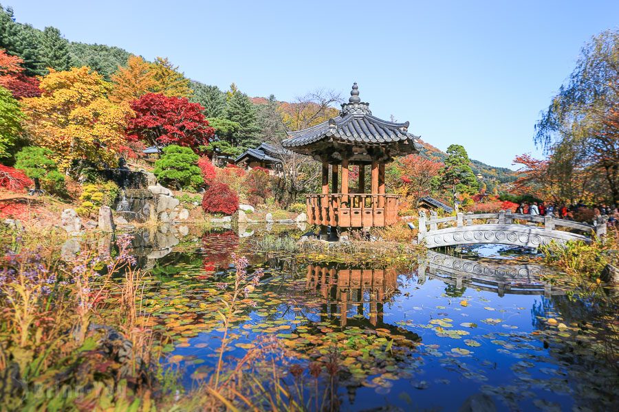 晨靜樹木園