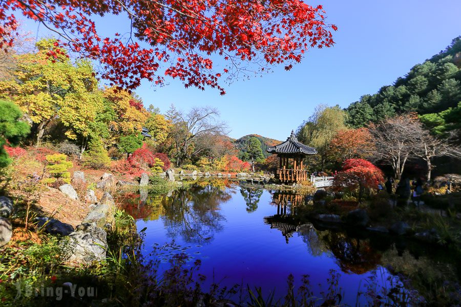 晨靜樹木園