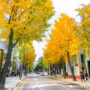 Best Things to Do Near Gangnam Station: Sinsa-dong, Café Kitsuné, COEX Mall, and More