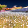 10 Incredible Things To Do In Dongdaemun For An Active Day Full Of Smiles