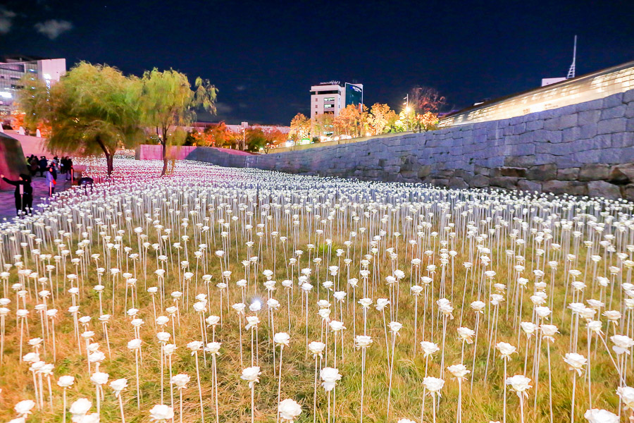 10 Incredible Things To Do In Dongdaemun For An Active Day Full Of Smiles
