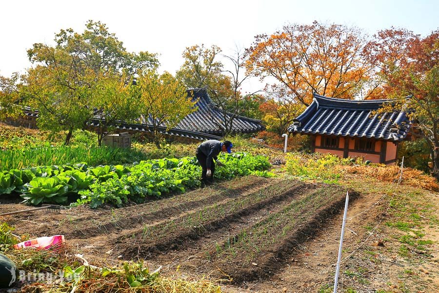 庆州一日游景点