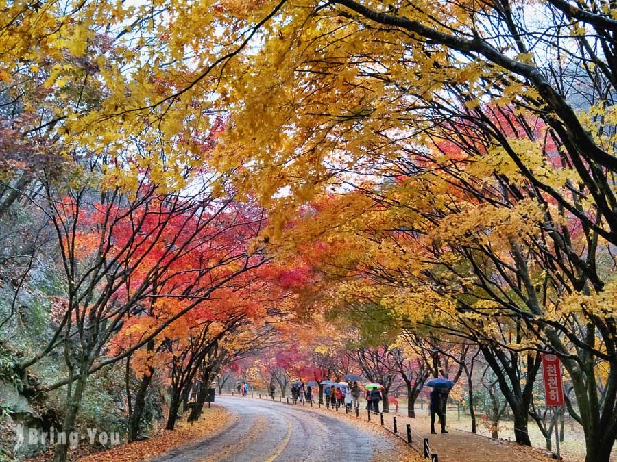 全羅道內藏山