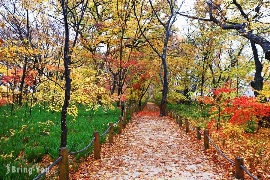 咸陽上林公園