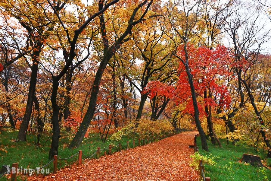 咸陽上林公園