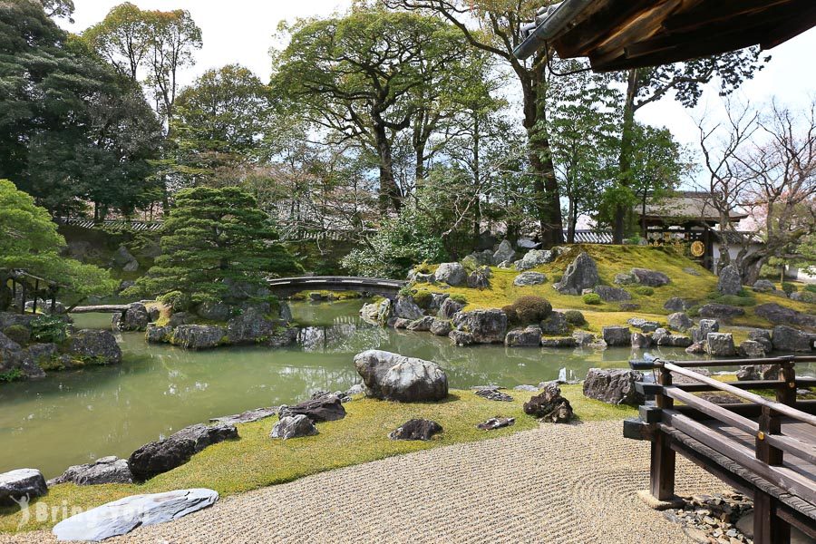 醍醐寺賞櫻