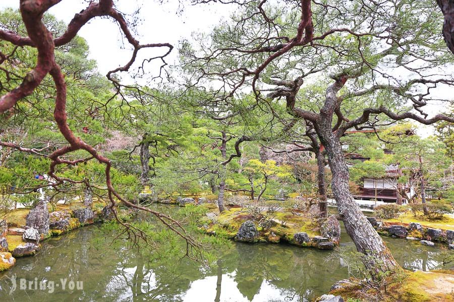 京都银阁寺