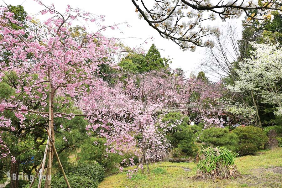 京都平安神宮