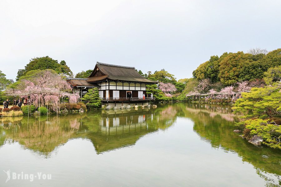 京都賞櫻景點