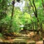 【京都美山景點】常照皇寺：交通、楓葉全攻略｜幽靜古寺之旅
